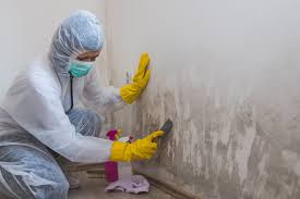 Best Mold Prevention Services  in Artesia, CA